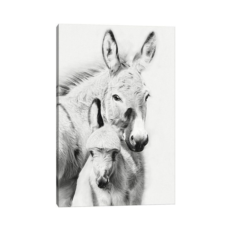Donkey Portrait V by PHBurchett - Wrapped Canvas Gallery-Wrapped Canvas Giclée, 66.04 cm H x 45.72 cm W x 1.91 cm D