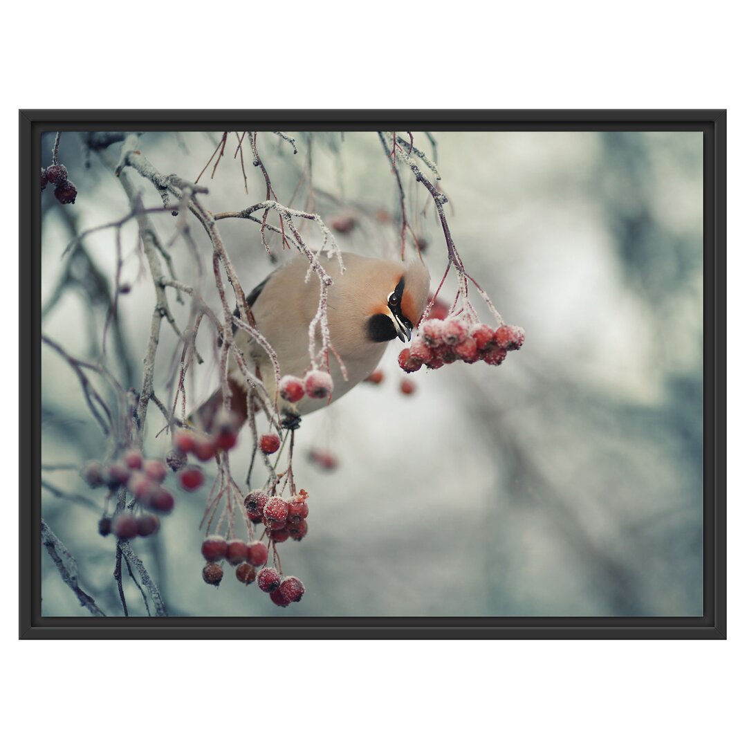 Gerahmtes Wandbild Kleiner VogelVogelbeerbaum