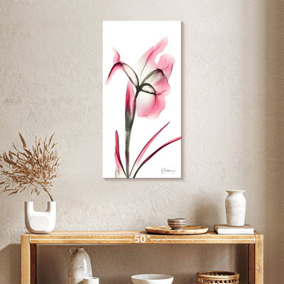 Pink Infused Iris II