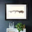 Driftwood Study I-FramedFramed Print W biseauté mat et verre-2128260508-2128260511