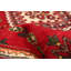 Tapis rouge Anadol 4 pi 6 po x 6 pi 11 po