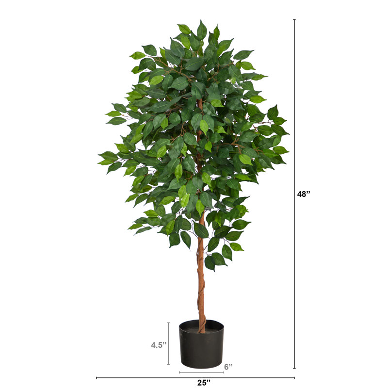 Faux Ficus Tree in Planter, 48" H x 25" W x 12" D