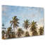 Palm Trees Vol.2 - Wrapped Canvas-61842770