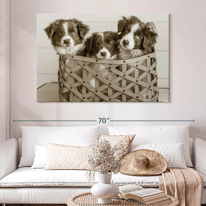 Brampt What A Cute Bundle, 34" H x 51" W