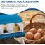 Nesting Boxes-734333251