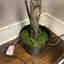 Photos des clients 3 de 3