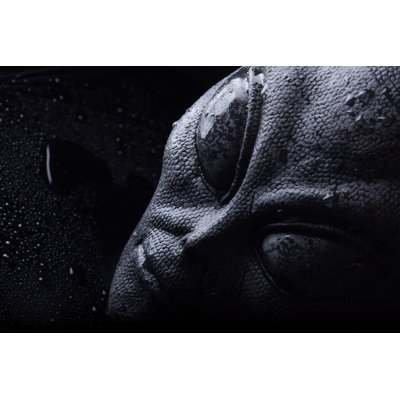 Evil Alien Face by Danbrandenburg