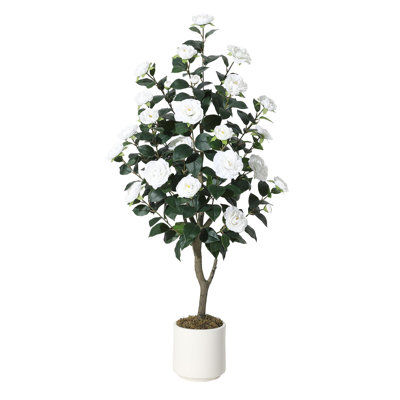 Arrangement