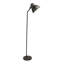 Lampe de plancher à lecture 68" Piedmont