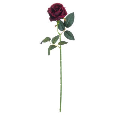 Anastasija Arrangement
