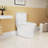 1.1/1.6 GPF Elongated Comfort Height Floor Mounted One-Piece Toilet