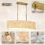 Elegant Shell Chandelier With Handmade Shells-756126464-756126492