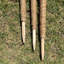 Caven Wood Plant Support