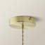 Cassia 1 - Light Plated Shaded Pendant-344751383