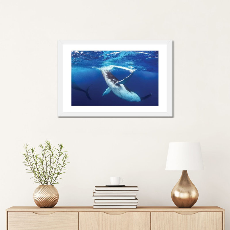 «Whale of a Time» par Jordan Robins - reproduction de photo, H 16 po x l 24 po x P 1 po, Papier encadré blanc, Blanc