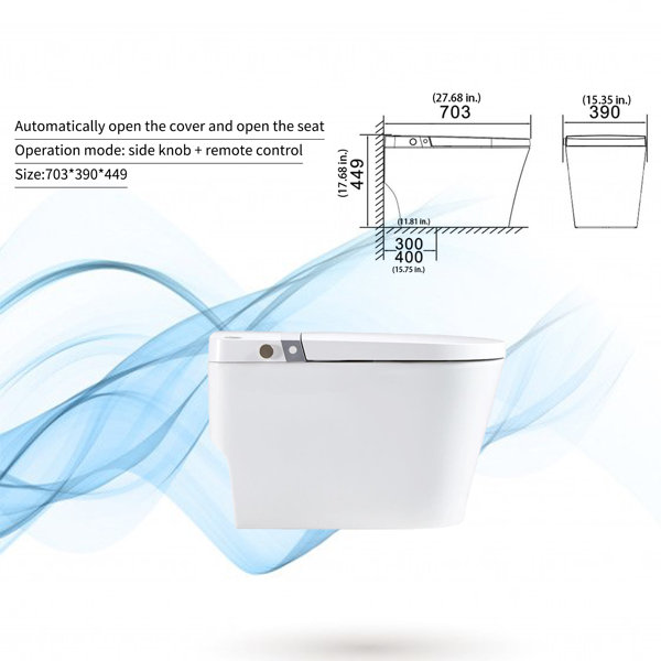 QuantumOne™ 1.0 Elongated Rear-Outlet Wall-Mount Toilet Combination