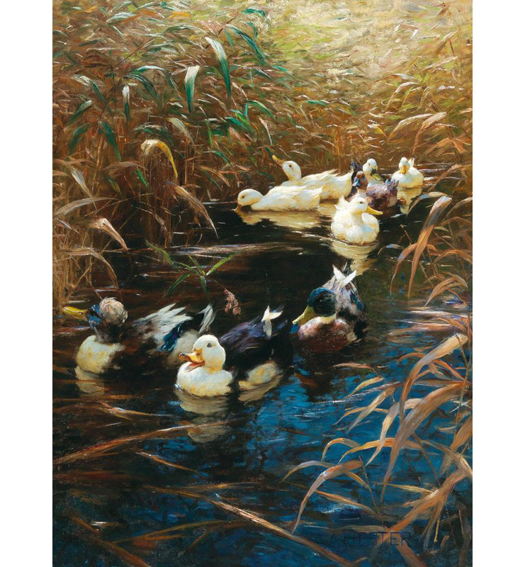 «Ducks in Autumn Reeds» par Alexander Koester - Art mural sur toile tendue avec châssis, H 24 po x l 17 po
