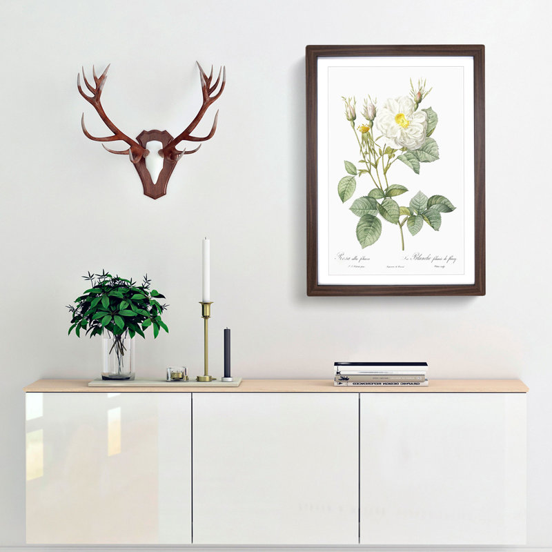 White Rose of York by Pierre-Joseph Redoute - Picture Frame Art Prints, 48cm H x 36cm W x 2cm D, Walnut Framed