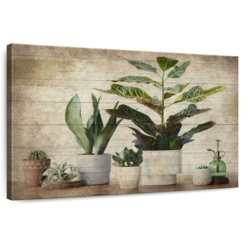 Plantes d'intérieur en bois Harnek, H 16 po x l 24 po
