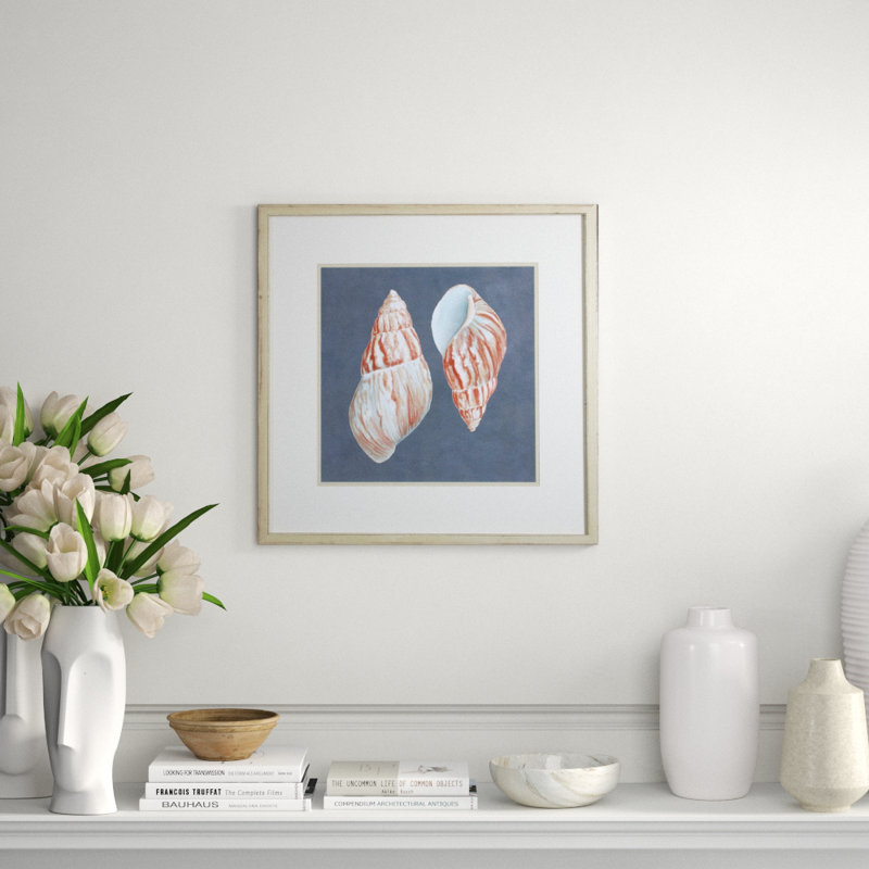 Shell On Slate V Print by Meagher