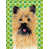 Cairn terrier (brun et noir) sélectionné