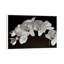 Orchids - Floater Frame Print on Canvas-214817169-214817174