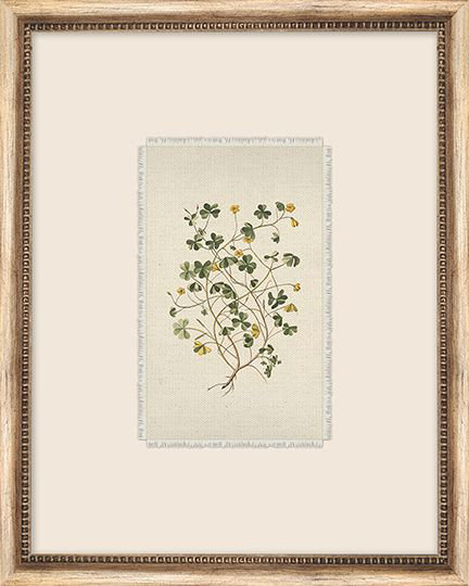 Petite Floral 2 Framed Watercolour Painting Print Canvas