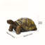 Statue de jardin de tortue
