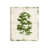 Couche de verre