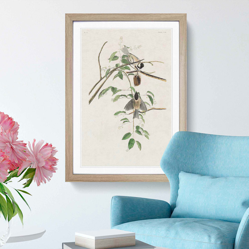 Carolina Titmouse Birds by John Audubon - Picture Frame Painting Print, Oak Framed, 65cm H x 48cm W x 2cm D