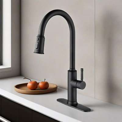Kitchen Faucet With Pull Out Spraye
