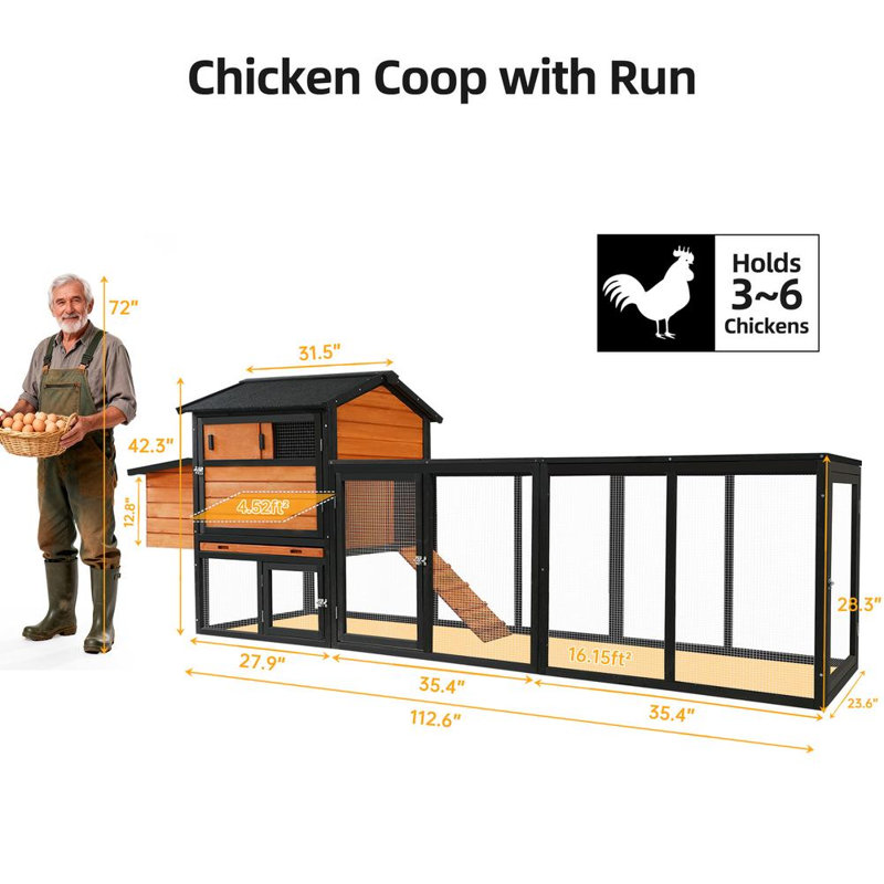 Modern Backyard Poultry Haven
