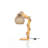 55.1'' Gold Task Floor Lamp