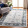 Delmer Performance Oriental Rug