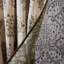 Highgrove Thyme Walk-945068600