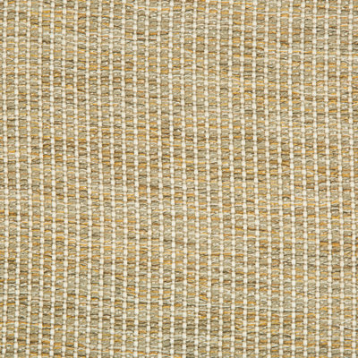 Guaranteed in Stock Fabric