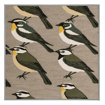 Washable Cape White eye Birds Area Rug