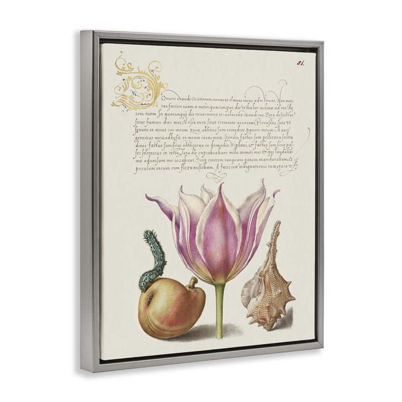 «Flower & Bug Study», art mural encadré sur toile par June Erica Vess, Cadre flottant gris lustré, H 21 po x l 17 po