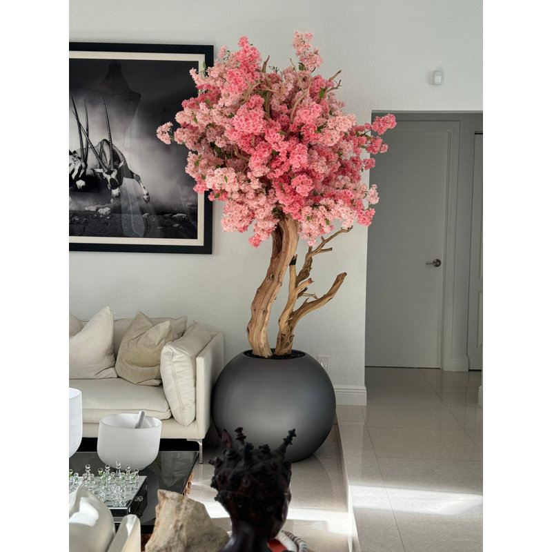 Pink Cherry Blossom Tree In 30" Globe Planter, White