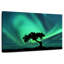 Silhouette d'arbre Alvord Northern Lights-106322044