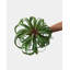 Faux Grass