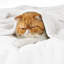 Couvertures douillettes et douillettes pour lit, canapé, canapé, voyage, camping