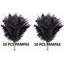 Plante grimpante 17 po Atalaya-1329839818-1329839831