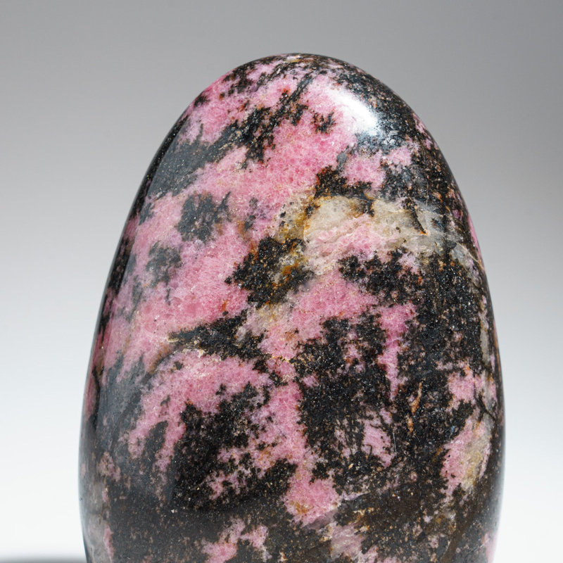 Rhodonite impériale polie de Madagascar (1,75 lb)