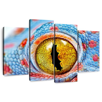 Brampt Tokay Gecko Eye