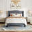 Mieya Upholstered Platform Bed Frame with Tufted Nailhead Trim Wingback Headboard-741877963-741877965