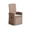 Aoife Wicker Outdoor Lounge Chair