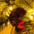 Lighted Pine Christmas Tree