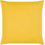 Jeté de housse de coussin B-555423258-555423259