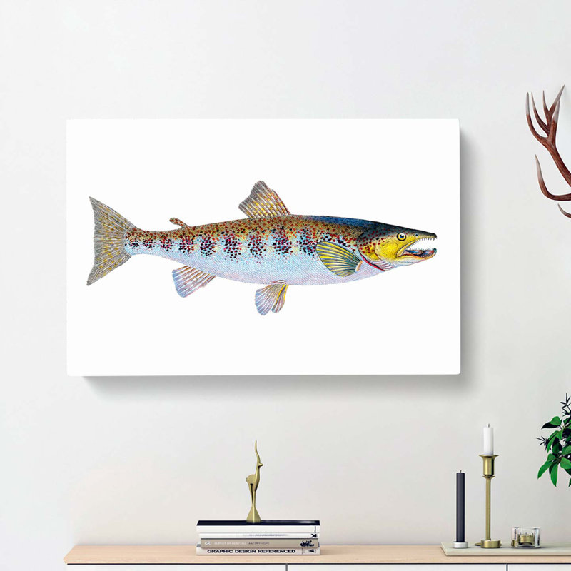 Trout Fish by Edward Donovan - Wrapped Canvas, 40cm H x 60cm W x 3cm D